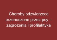 Choroby odzwierzęce przenoszone przez psy – zagrożenia i profilaktyka