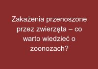 Zakażenia przenoszone przez zwierzęta – co warto wiedzieć o zoonozach?