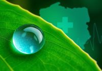 Choroba cholera – objawy, leczenie i profilaktyka w Polsce